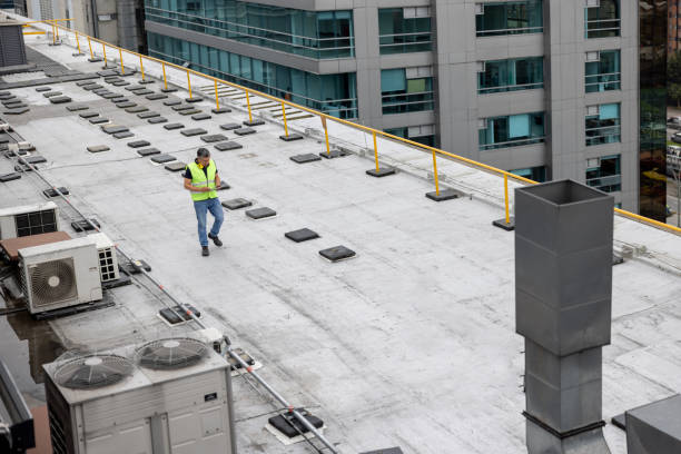 Best Roof Ventilation Installation  in Federal Y, WA